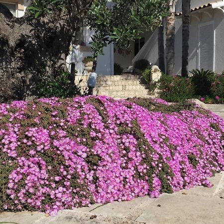 فندق Dimora Sebastian توري سودا المظهر الخارجي الصورة